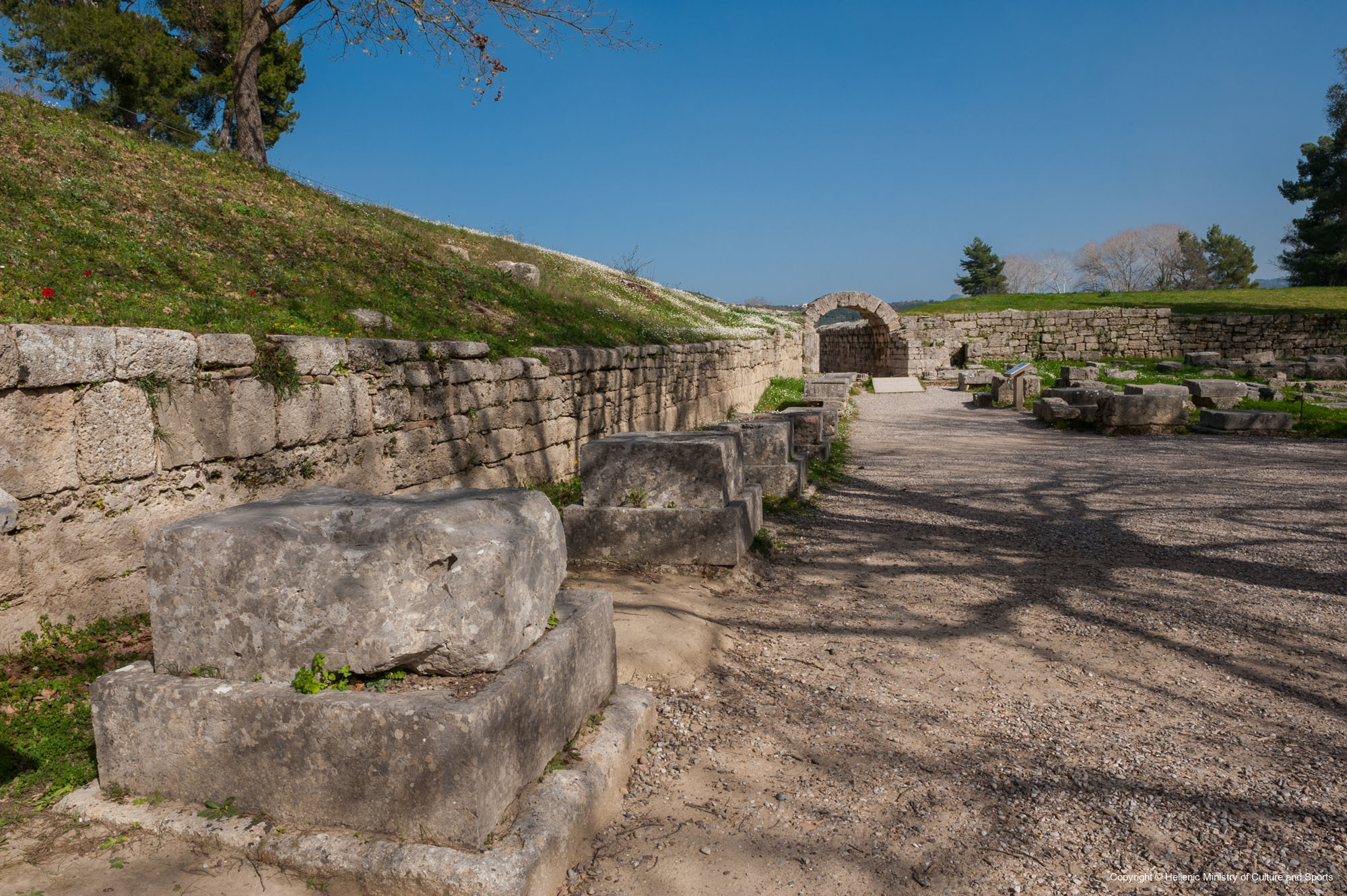 THE ZANES You Go Culture