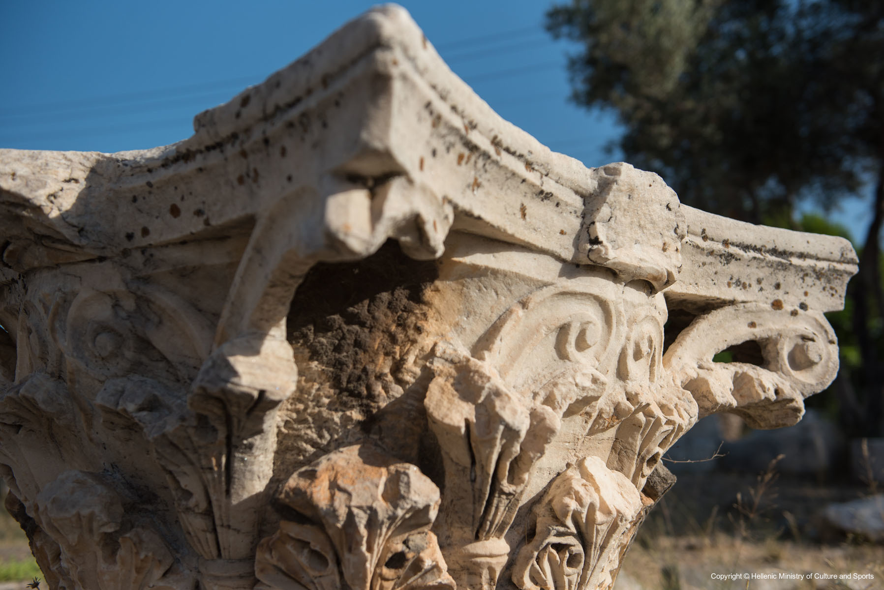 THE ROMAN COURT You Go Culture